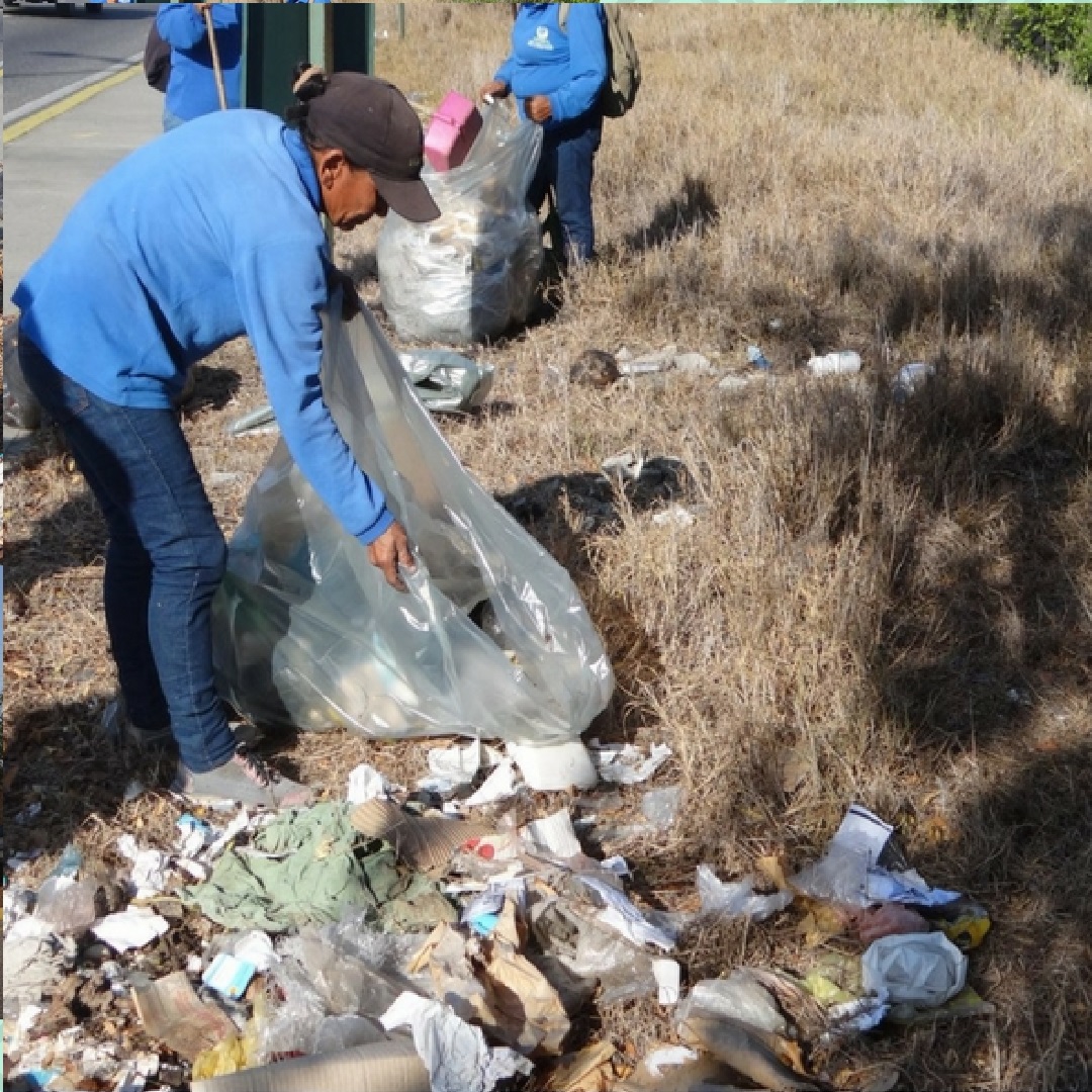 9mil toneladas de basura han sido recolectadas por la Alcaldía de Palavecino