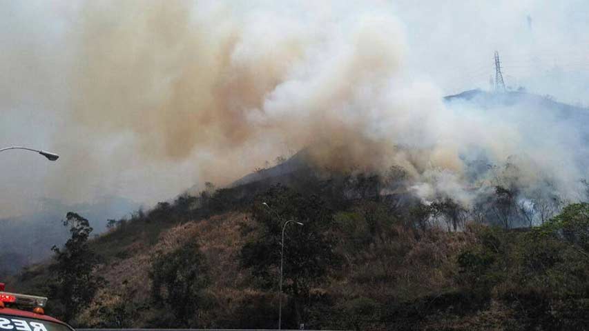 Incendio afecta el parque Waraira Repano a la altura de Marípérez