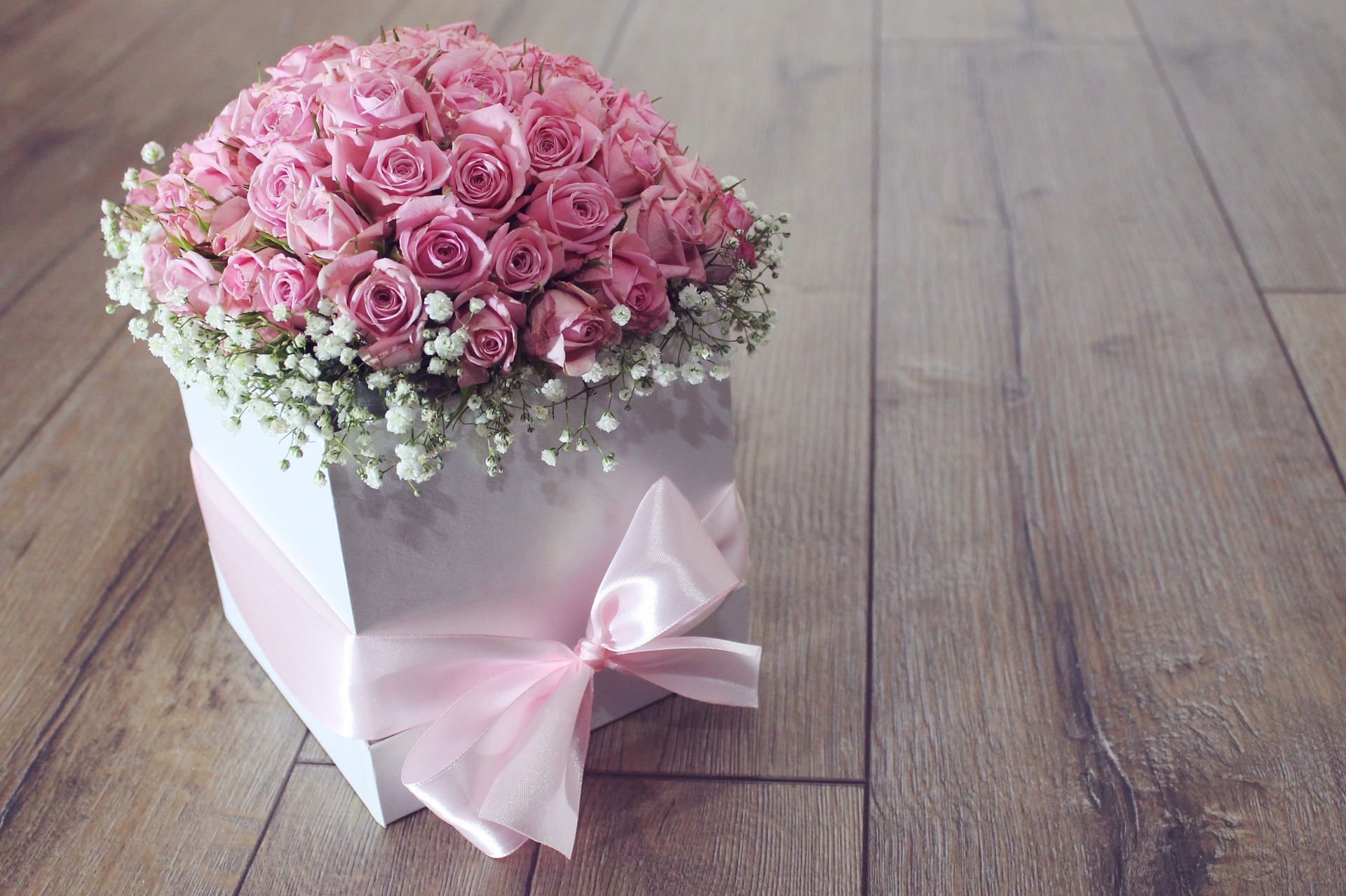 Las 6 flores más bonitas para regalar - Noticias de Barquisimeto - PromarTV